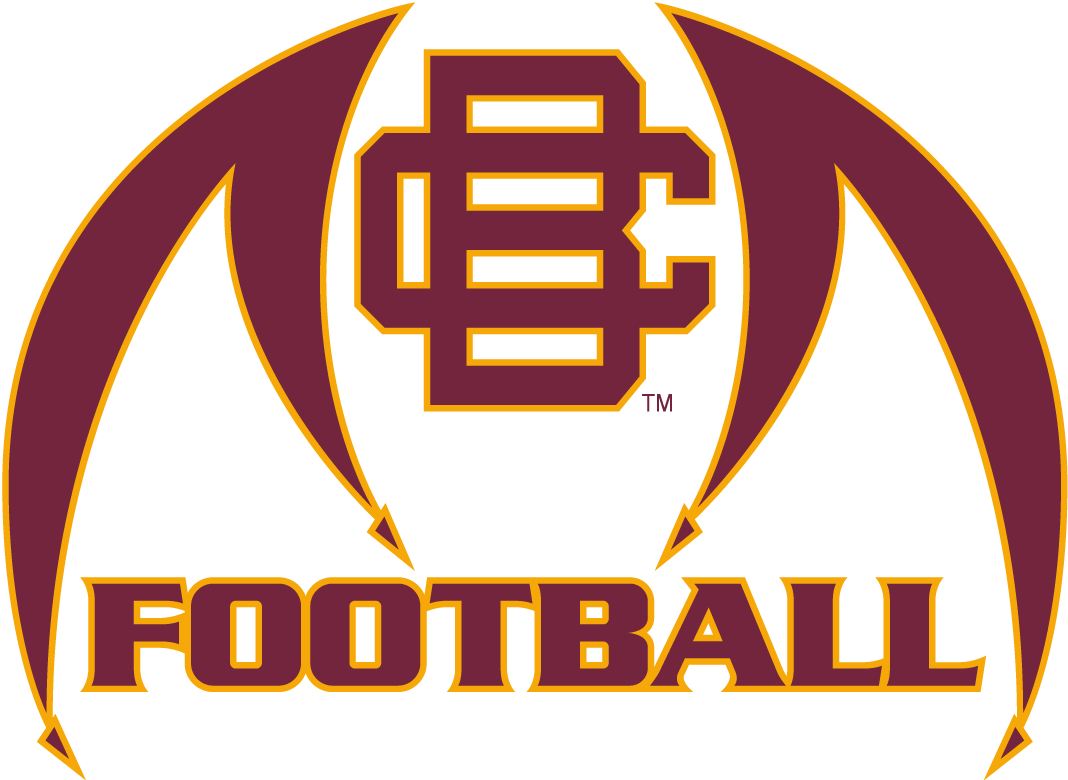 Bethune-Cookman Wildcats 2010-2015 Misc Logo diy DTF decal sticker